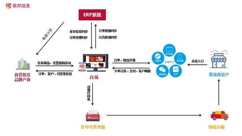 打造赋能企业 内循环 电商系统